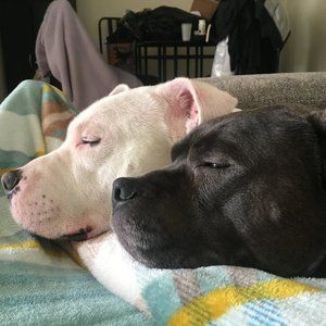 Meet your Posher, Vee